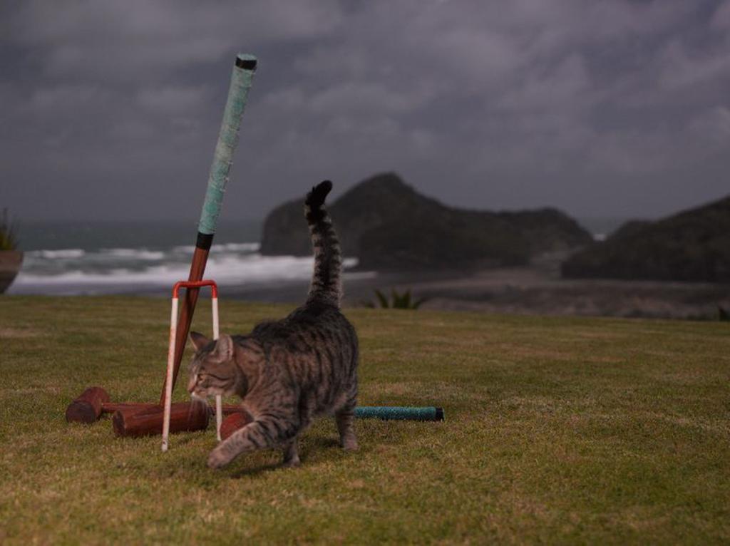 Bethells Beach Cottages Екстер'єр фото