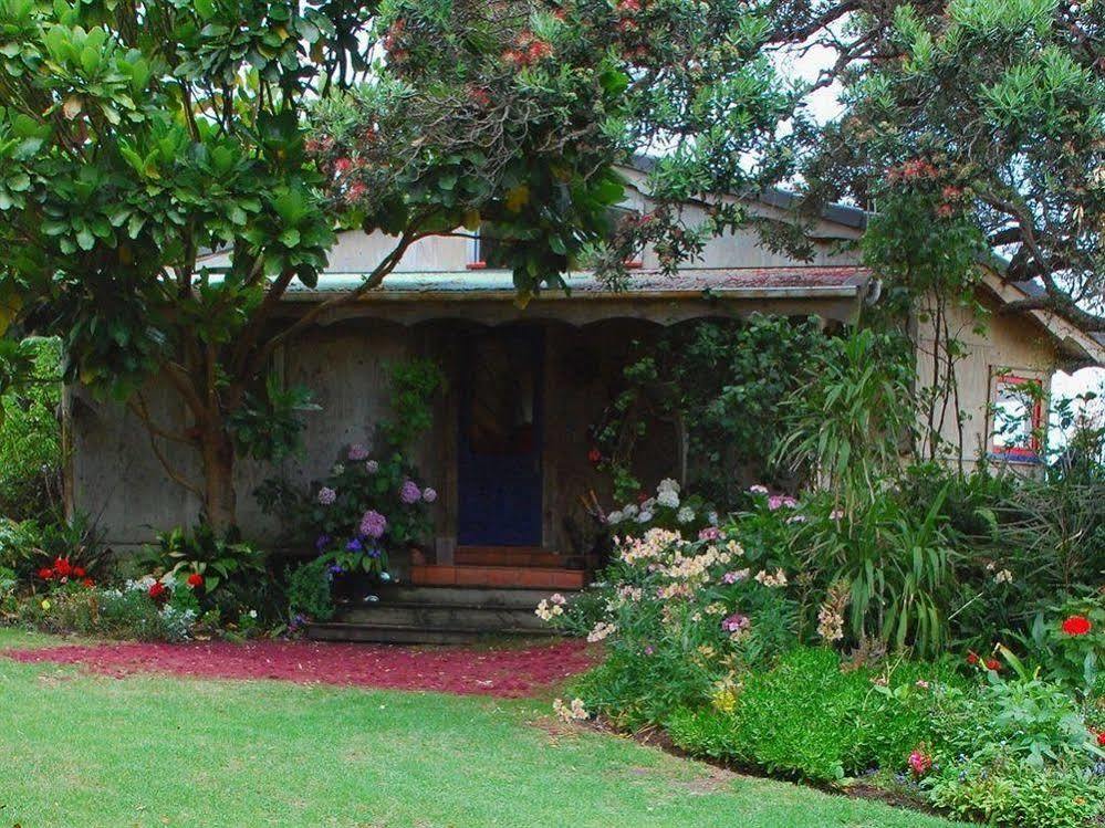 Bethells Beach Cottages Екстер'єр фото