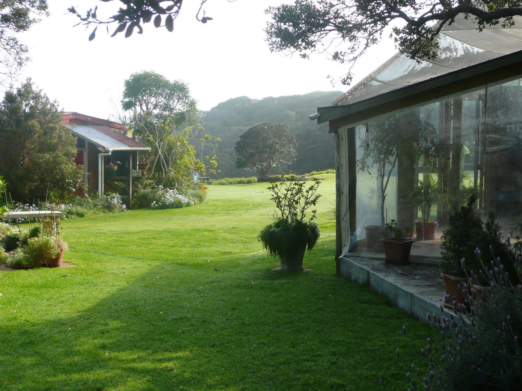 Bethells Beach Cottages Екстер'єр фото